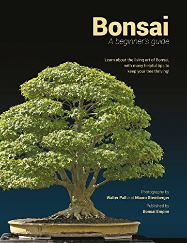 Bonsai: a beginners guide