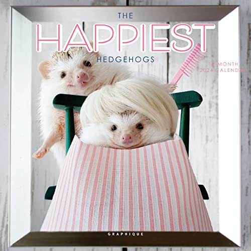 Graphique 2024, „Happiest Hedgehogs“-Mini-Wandkalender, 17,8 x 17,8 cm, dickes Papier, für Zuhause und Büro, großes Monatsraster, 3 Sprachen, markierte Feiertage, 4-Monats-Vorschauseite für 2025