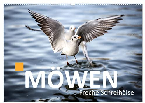 MÖWEN Freche Schreihälse (Wandkalender 2026 DIN A2 quer), CALVENDO Monatskalender: Möwen zu fotografieren ist immer wieder faszinierend (CALVENDO Natur)