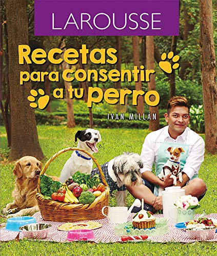 Recetas para consentir a tu perro