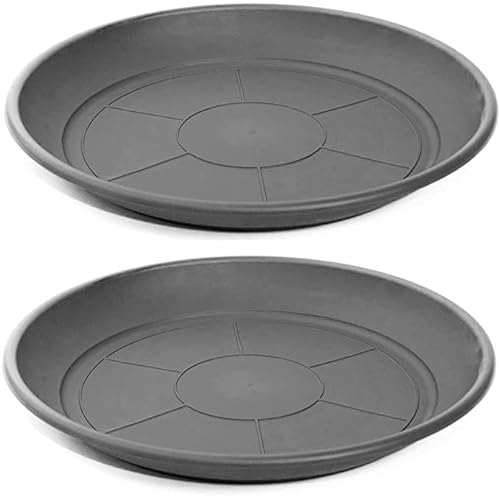 Desconocido Lot de 2 assiettes en plastique PVC/soucoupe de pot gris 24 cm et 26 cm / plateau en plastique pour pot rond (24 cm et 26 cmGris)