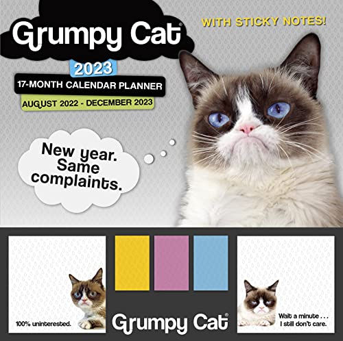 Grumpy Cat August 2022-December 2023 17-Month Planner: It’s All Downhill from Here. (STICKY NOTE PLANNER)