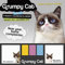 Grumpy Cat August 2022-December 2023 17-Month Planner: It’s All Downhill from Here. (STICKY NOTE PLANNER)