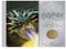 Harry Potter and the Goblet of Fire Postcard Book