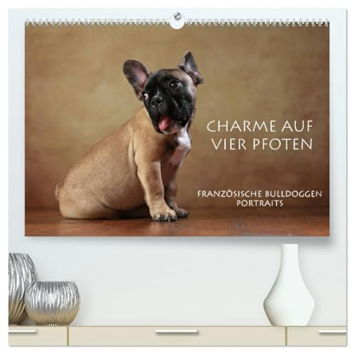 Charme auf vier Pfoten - Französische Bulldoggen Portraits (hochwertiger Premium Wandkalender 2026 DIN A2 quer), Kunstdruck in Hochglanz: Portraits Französischer Bulldoggen (CALVENDO Tiere)