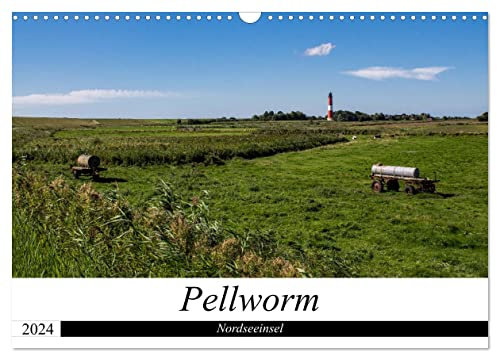 Nordseeinsel Pellworm 2024 (Wandkalender 2024 DIN A3 quer), CALVENDO Monatskalender: Impressionen der Insel Pellworm in der Nordsee. (CALVENDO Orte)