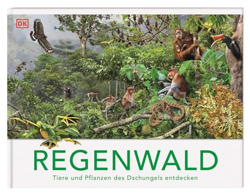 Regenwald: Tiere und Pflanzen des Dschungels entdecken. Die Vielfalt des Lebens im Regenwald. Mit 13 3-D-Panoramabildern. Für Kinder ab 8 Jahren (Panorama-Bücher)