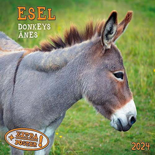 Esel 2024: Kalender 2024