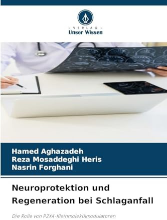 Neuroprotektion und Regeneration bei Schlaganfall: Die Rolle von P2X4-Kleinmolekülmodulatoren