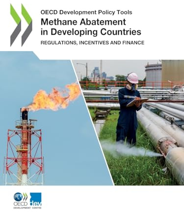 Methane Abatement in Developing Countries
