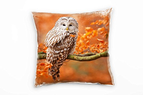 Paul Sinus Art Tiere, Eule, braun, orange Deko Kissen 40x40cm für Couch Sofa Lounge Zierkissen - Dekoration zum Wohlfühlen