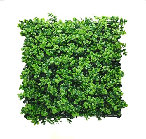 KARAT Pflanzenwand - Kunstpflanze zur Wandmontage - 50 x 50 cm - Wandgarten - Künstliche Pflanze Deko für Wand, Balkon & Garten - Pachysandra (1 Stück = 0,25 m²)
