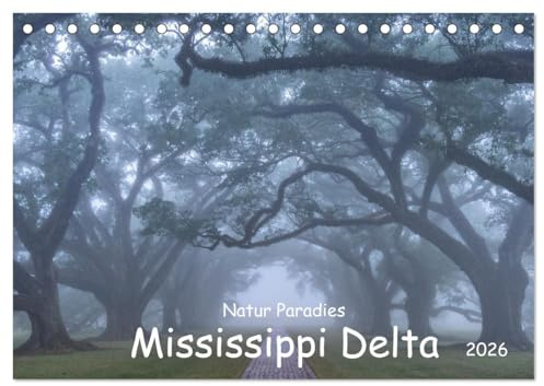 Natur Paradies Mississippi Delta (Tischkalender 2026 DIN A5 quer), CALVENDO Monatskalender: Entdecken Sie die Schönheit der Natur: Unser Wandkalender ... von Zypressen und Sümpfen. (CALVENDO Natur)
