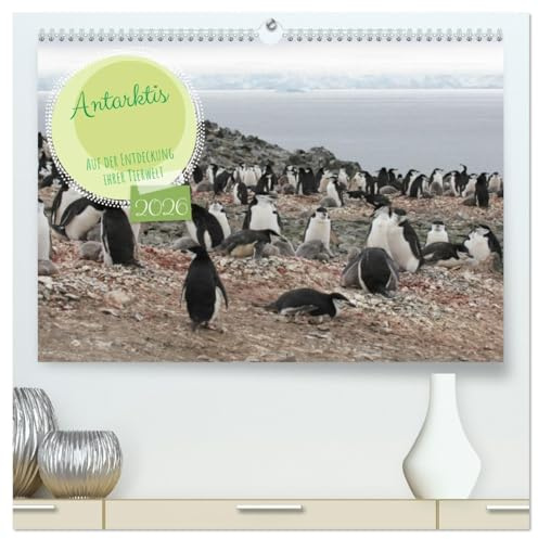 Antarktis Auf der Entdeckung ihrer Tierwelt (hochwertiger Premium Wandkalender 2026 DIN A2 quer), Kunstdruck in Hochglanz: Entdecken Sie den fabelhaften Kontinent Antarktis. (CALVENDO Tiere)