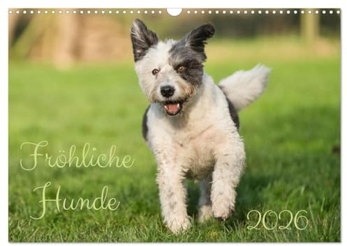 Fröhliche Hunde (Wandkalender 2026 DIN A3 quer), CALVENDO Monatskalender: Der beste Freund des Menschen verbreitet immer gute Laune (CALVENDO Tiere)