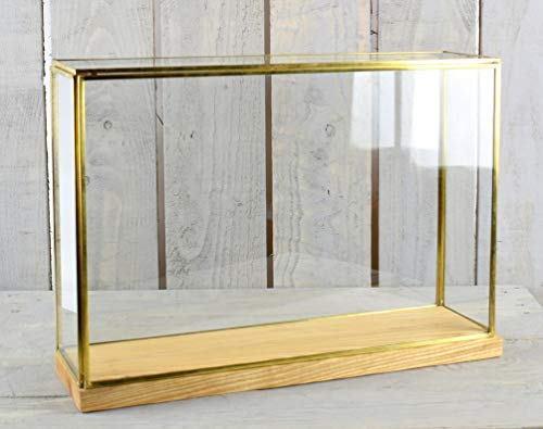 EMH Grande vitrine en verre et laiton avec base en bois Hauteur 28,5 cm