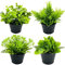 Fycooler 4pcs Mini Plantes Artificielles Plantes en Plastique - Rosemary Eucalyptus Interieur Petite Plante Artificielles en Plastique avec Pot Fausses Plantes Vertes Décoration