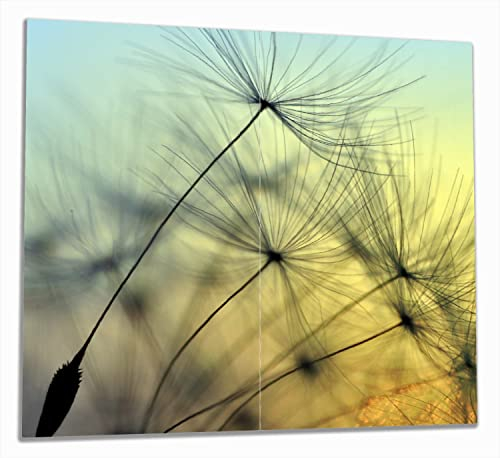 Wallario Herdabdeckplatte/Spritzschutz aus Glas, 2-teilig, 60x52cm, für Ceran- und Induktionsherde, Samen der Pusteblume in Nahaufnahme vor blauem Himmel