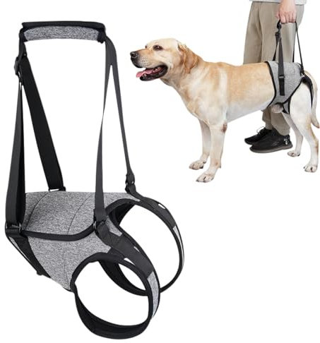 Hunde-Zuggeschirr, Hilfsgurt mit Griffschlaufe, Senioren-Hundegeschirr, Hundegeschirr, Hinterbeinstütze, Haustier-Gehhilfen
