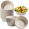 HXSYKJDM 100 cuencos desechables ecológicos para sopa de caña de azúcar, 350 ml, cuencos de cartón desechables, cuencos de sopa orgánicos, compostables