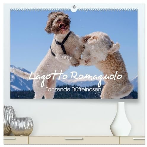 Lagotto Romagnolo Tanzende Trüffelnasen (hochwertiger Premium Wandkalender 2026 DIN A2 quer), Kunstdruck in Hochglanz: Trüffelpfoten im Freudentanz (CALVENDO Tiere)