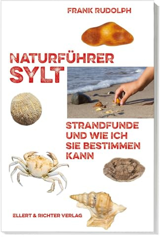 Naturführer Sylt: Strandfunde und wie ich sie bestimmen kann