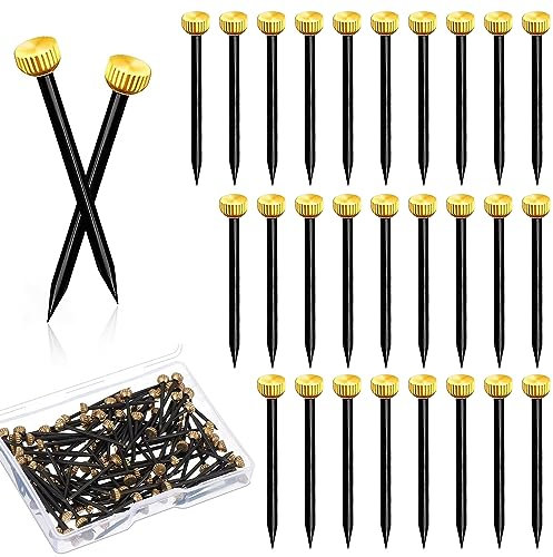 100pcs Picture Hanging Nails 1 Inch Brass Head Picture Pins Picture Hanging Hooks Steel Nails Wall Nails Small Nails with Plastic Box for Picture Frame Hanging Woodworking Wall Mounting - Black