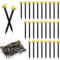 100pcs Picture Hanging Nails 1 Inch Brass Head Picture Pins Picture Hanging Hooks Steel Nails Wall Nails Small Nails with Plastic Box for Picture Frame Hanging Woodworking Wall Mounting - Black