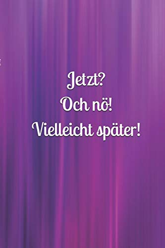 Jetzt? Och nö! Vielleicht später!: Mädchen - Pubertät - Frau - Familie - Notizbuch - Liebe - Tagebuch - Freundebuch - Junge - Mann
