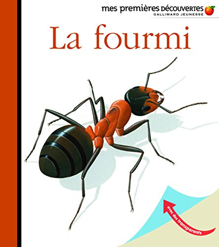 GALLIMARD JEUNE