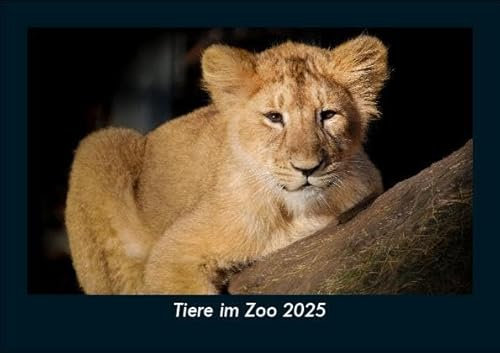 Tiere im Zoo 2025 Fotokalender DIN A5: Monatskalender mit Bild-Motiven von Haustieren, Bauernhof, wilden Tieren und Raubtieren