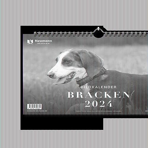 Bracken 2024: Themenkalender