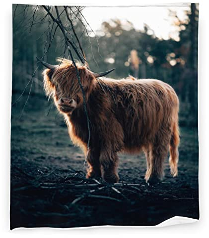 Highland Kuh Überwurfdecke Flanell Fleece flauschige Decken weich warm gemütlich für Bett Couch Sofa Wohnzimmer für Teenager 152,4 x 127 cm