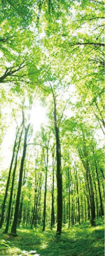 A.Monamour Sticker Porte Autocollant Poster De Porte 3D Paysage Nature Forêt Verte Vinyle Affiche De Porte Sticker Mural Papier Peint Art Décor 85x200cm