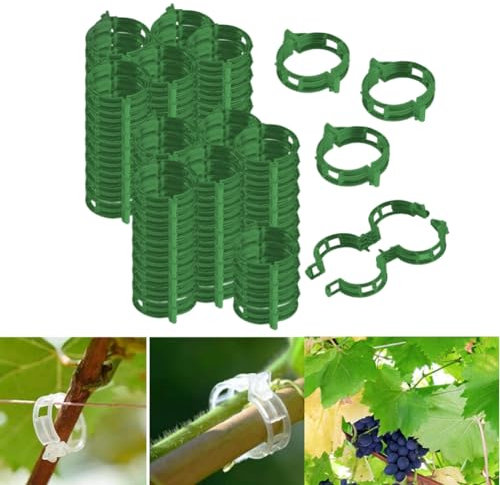 Fiorky 200 Stück Pflanzenclips Kletterhilfe Pflanzen, Tomaten Rankhilfe, Kunststoff Tomatenklammern for Kletterpflanzen, Pflanzen Clips,Tomatenhaken for Auberginen Obst Gemüse