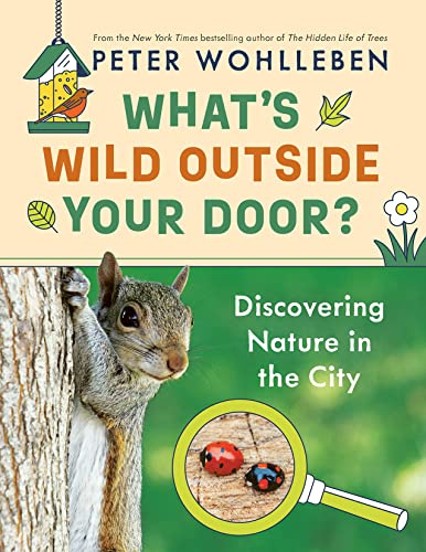 What's Wild Outside Your Door?: Discovering Nature in the City