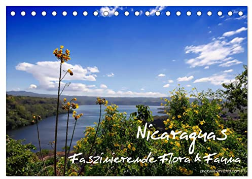 Nicaraguas faszinierende Flora & Fauna (Tischkalender 2026 DIN A5 quer), CALVENDO Monatskalender: Traumschönes Wetter, herrliche weiße Sandstrände mit ... wird Sie begeistern! (CALVENDO Natur)