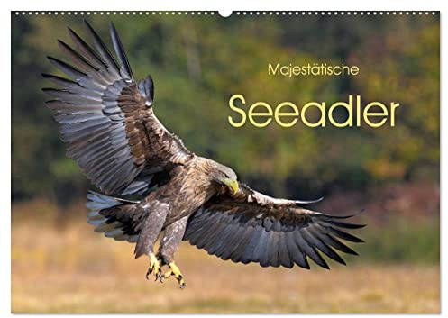 Majestätische Seeadler (Wandkalender 2026 DIN A2 quer), CALVENDO Monatskalender: Deutschlands größter heimischer Greifvogel (CALVENDO Tiere)