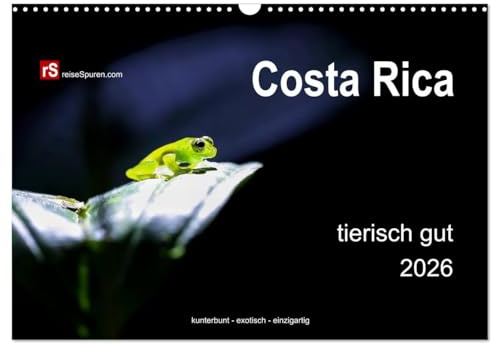 Costa Rica tierisch gut 2026 (Wandkalender 2026 DIN A3 quer), CALVENDO Monatskalender: Costa Ricas unglaublich vielfältige Tierwelt in freier Wildbahn ... - exotisch - einzigartig! (CALVENDO Tiere)
