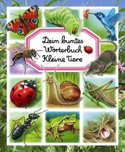 Dein buntes Wörterbuch Kleine Tiere