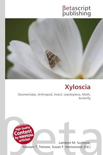 Xyloscia: Geometridae, Arthropod, Insect, Lepidoptera, Moth, Butterfly