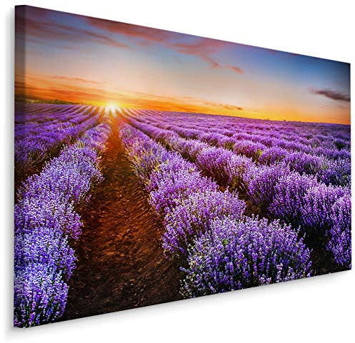 Muralo Wandbilder Blumen 100 x 70cm Bild auf Leinwand Wandbild Kunstdruck Lavendel Sonnenuntergang Leinwandbilder Schlafzimmer Wohnzimmer Wanddekoration Design Wand Bild Natur Landschaft