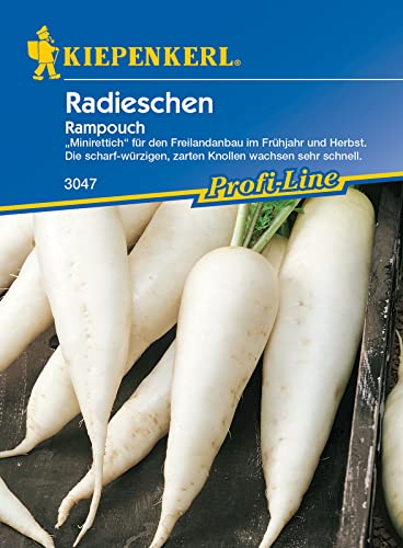 Kiepenkerl 3047 Radieschen Rampouch, Minirettich für den Freilandanbau im Frühjahr und Herbst, die scharf-würzigen zarten Knollen wachsen sehr schnell