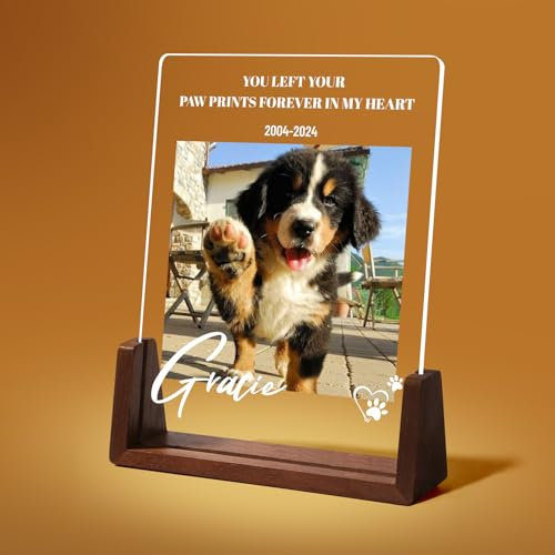 NIBESSER Personalisiert Gedenktafel für Haustiere Erinnerung LED Acrylglas mit Foto Hundandenken Geschenke Foto Nachtlampe Haustier Bilderrahmen für Katze und andere Haustiere Tiere
