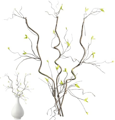 Branche de Saule bouclée Naturelle séchée, Twigs et Branches de 3pc