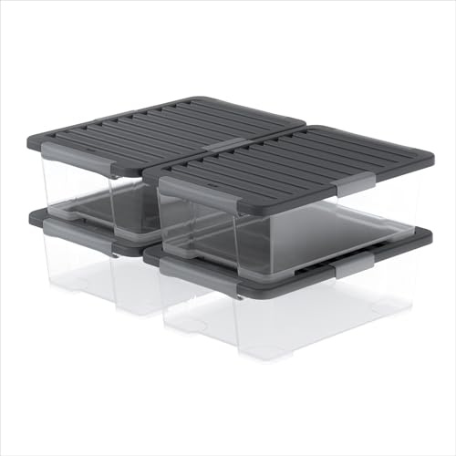 Rotho Core Pro Aufbewahrungsbox mit Deckel 30 L luftdicht 4er-Set stapelbar | Aufbewahrungsboxen, luftdichte Kisten mit Dichtung, Schutz vor Staub und Feuchtigkeit, für Keller und Dachboden, stapelbar