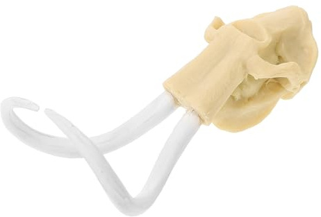 DOITOOL Aquarium Dekoration Urzeitliches Totenkopf aus Harz Unterwasserdekor Langlebig für Tropische Fischbecken Kreatives Aquarium Ornament