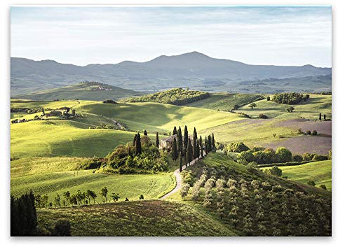 Glasbild Tuscany 80 x 120 cm I Wandbild Bild Glas modern Küche Wohnzimmer Schlafzimmer Badezimmer I Italien mediterran Landschaft Italia Felder Toskana Olivenfelder | XXL groß | verschiedene Motive
