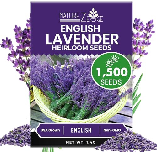 NatureZ Edge1500 English Lavender Seeds for Planting Outdoors or Indoors, 90% Germination, Lavender Plants, Non-GMO, Heirloom Herb Seeds (1 Pack)