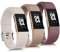 Vancle für Fitbit Charge 2 Armband für Damen Herren,Silikon Sport Weiches Ersatzarmband Uhrenarmband für Fitbit Charge 2 Armband(S,Starlight/Milchtee braun/Rauchen lila)